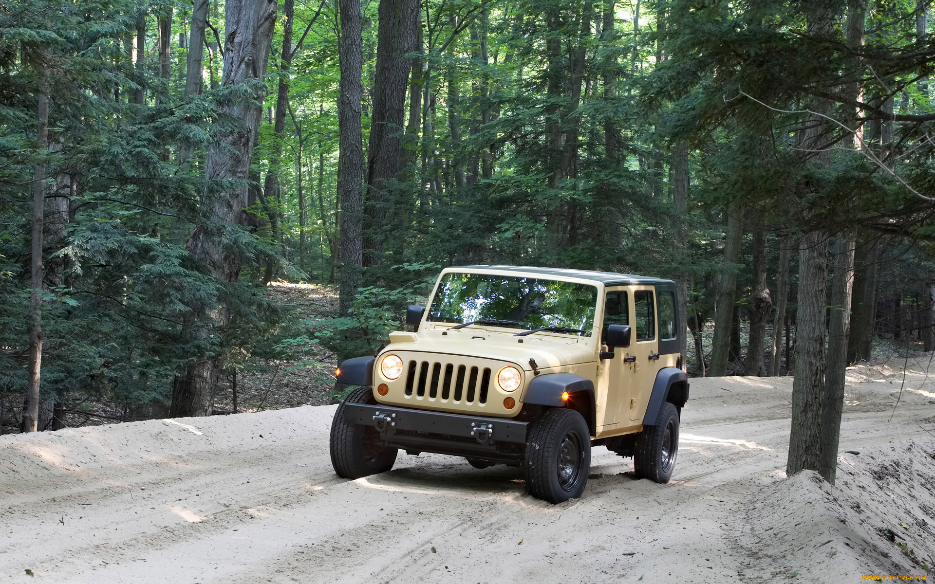 , jeep